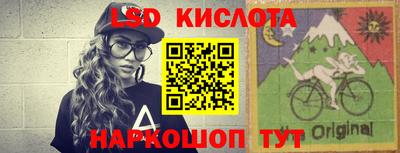 прущие грибы Будённовск