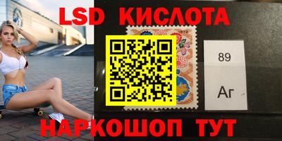 прущие грибы Будённовск