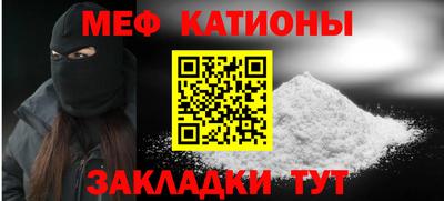 прущие грибы Будённовск
