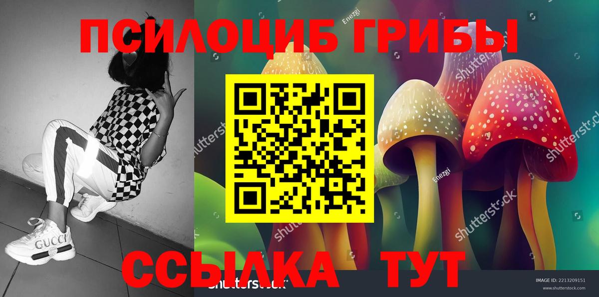 Галлюциногенные грибы мухоморы Элиста
