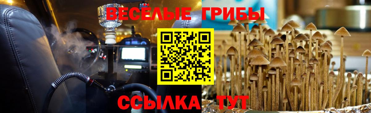 Псилоцибиновые грибы мицелий  Галлюциногенные грибы Magic Shrooms  Вход с VPN  Элиста 
